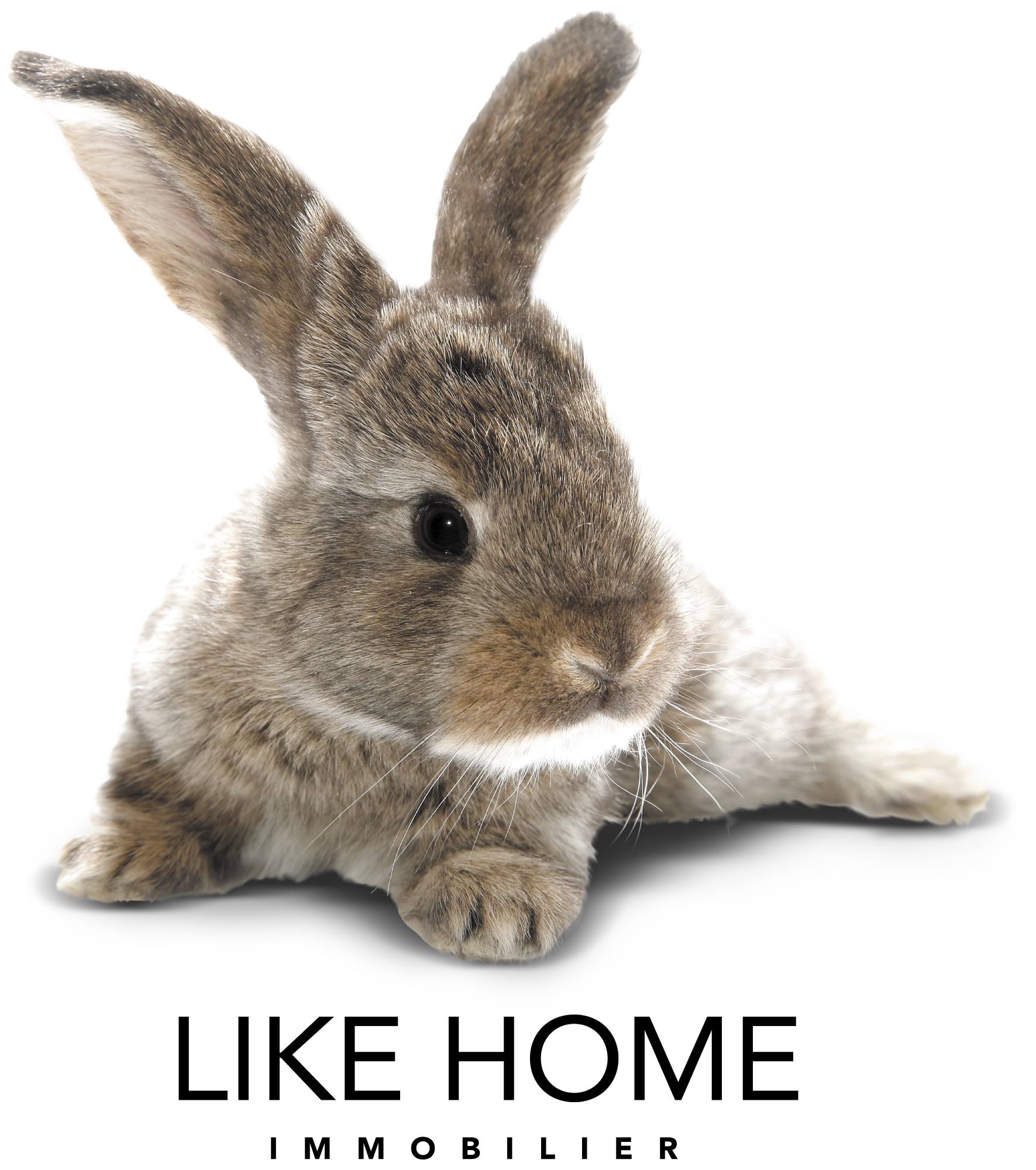 Like Home Immobilier